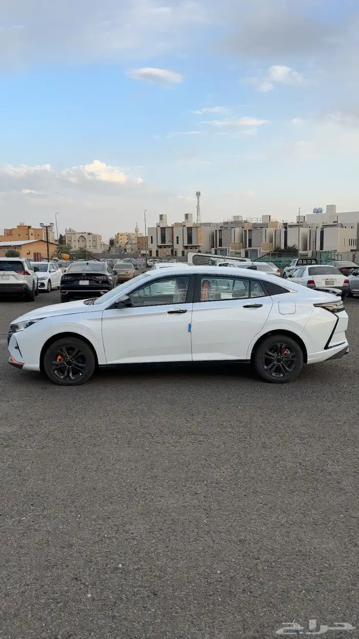 دونج فينج 2025 اصفار للبيع اقل سعر في السوق 5