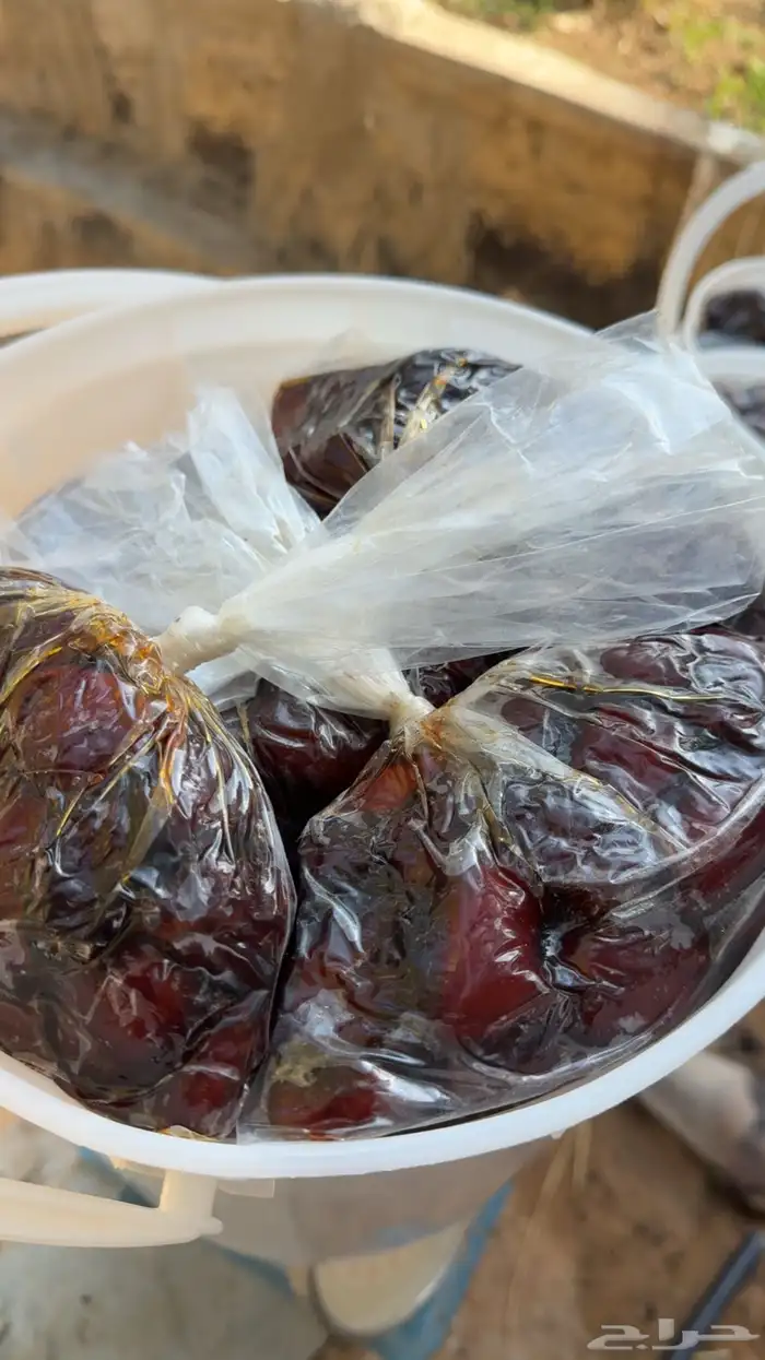 للبيع تمر رميثيه حلوه بقعاء 10