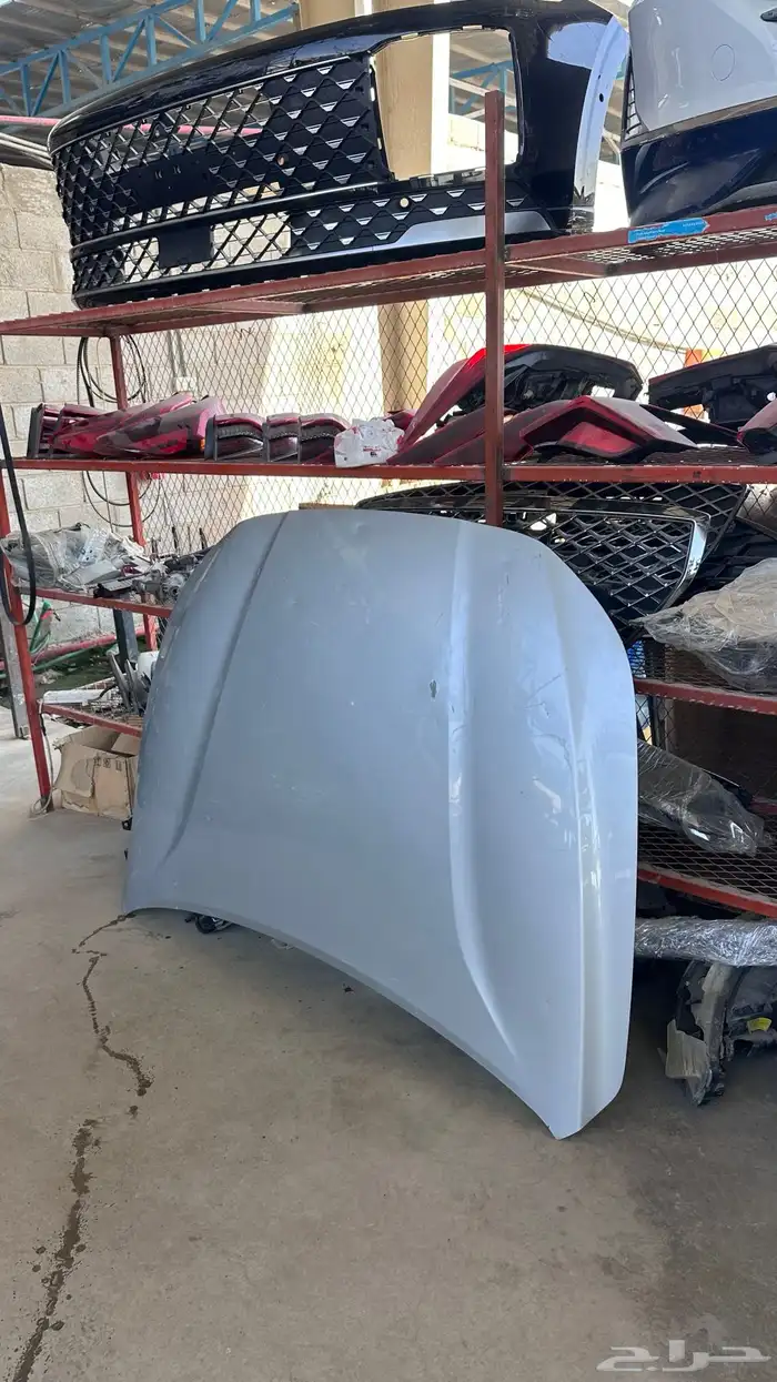 كبوت ازيرا 2018 1