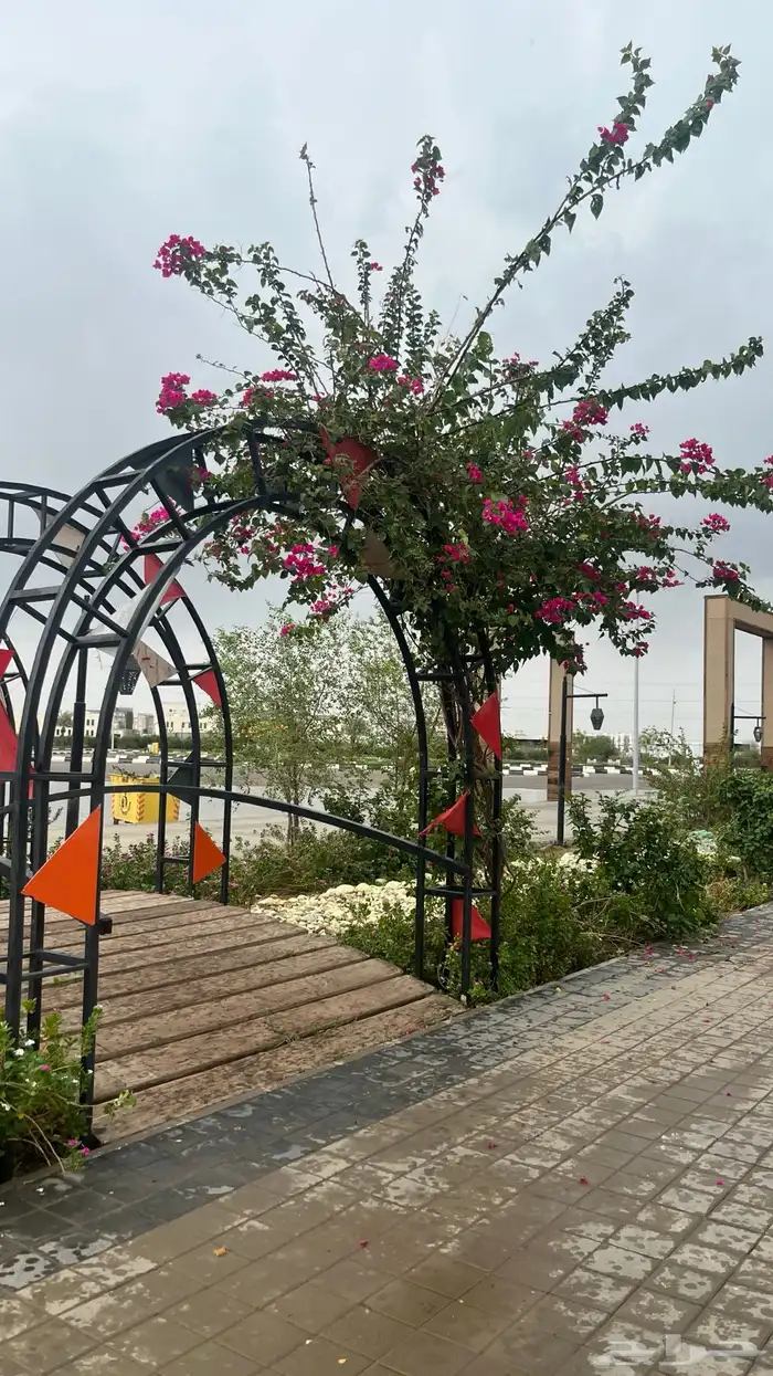 مصور سيارات محلات وغيره من اشياء 7