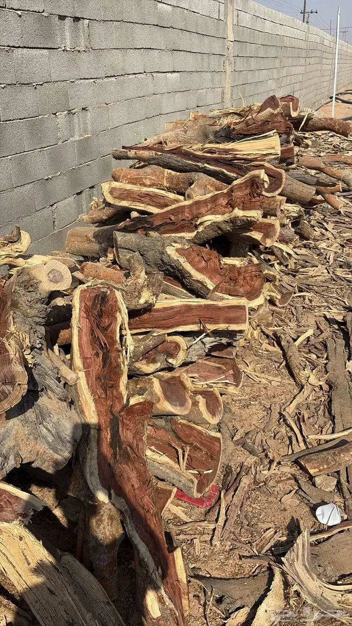 تويوتا هيلوكس دبل 2024 0