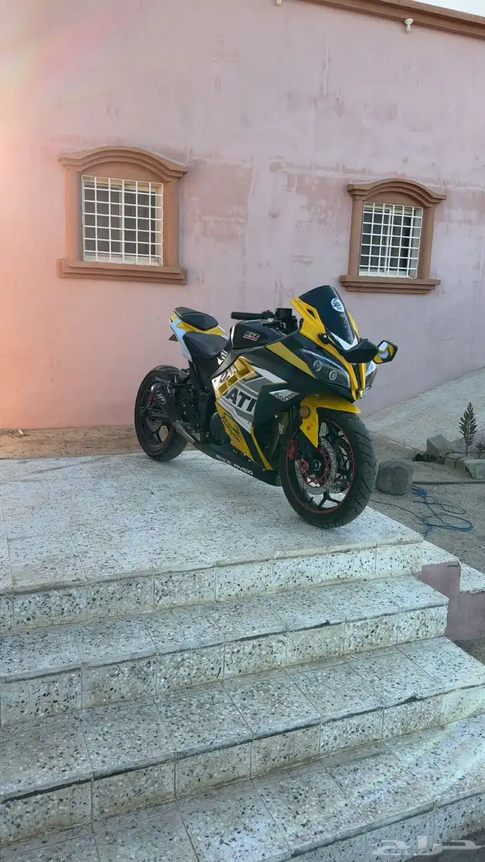 ريس صيني 250البيع 1