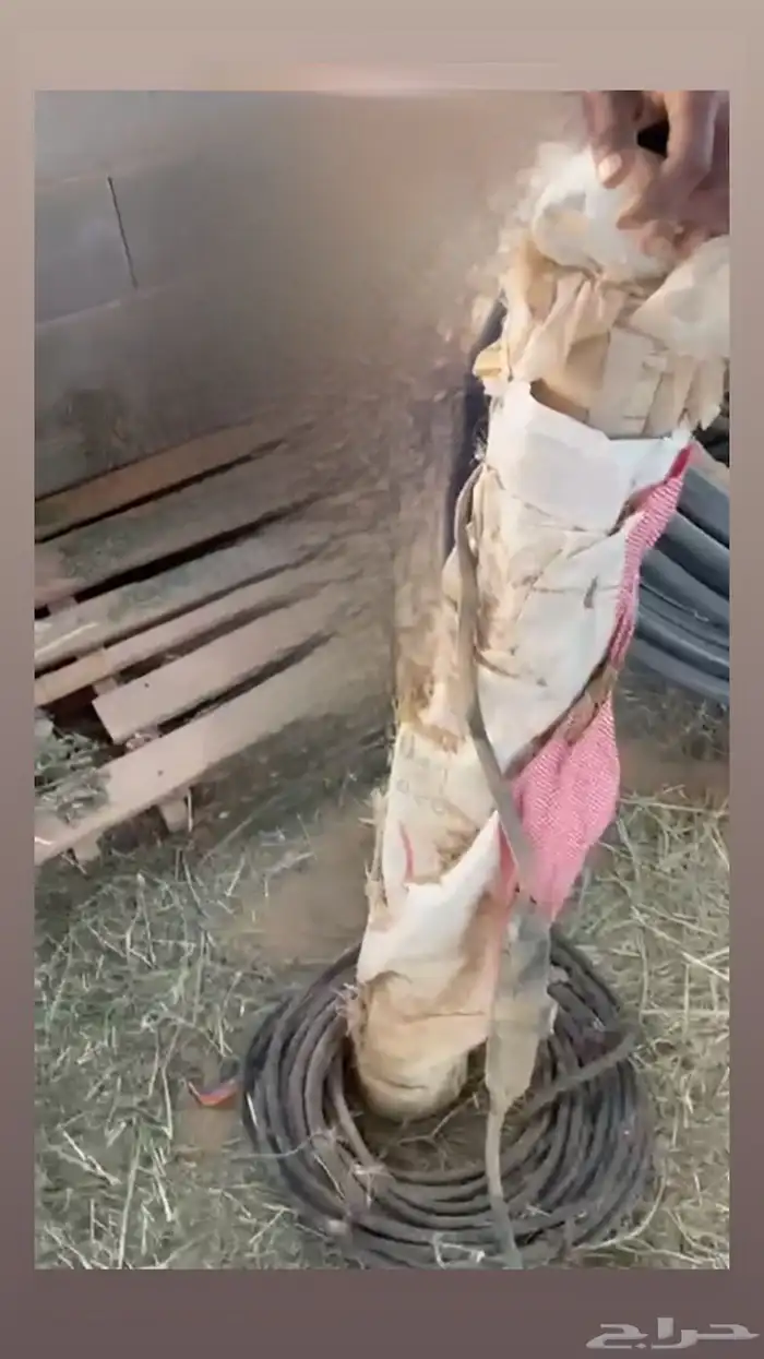 غطاس 3 حصان مع كيبل 1