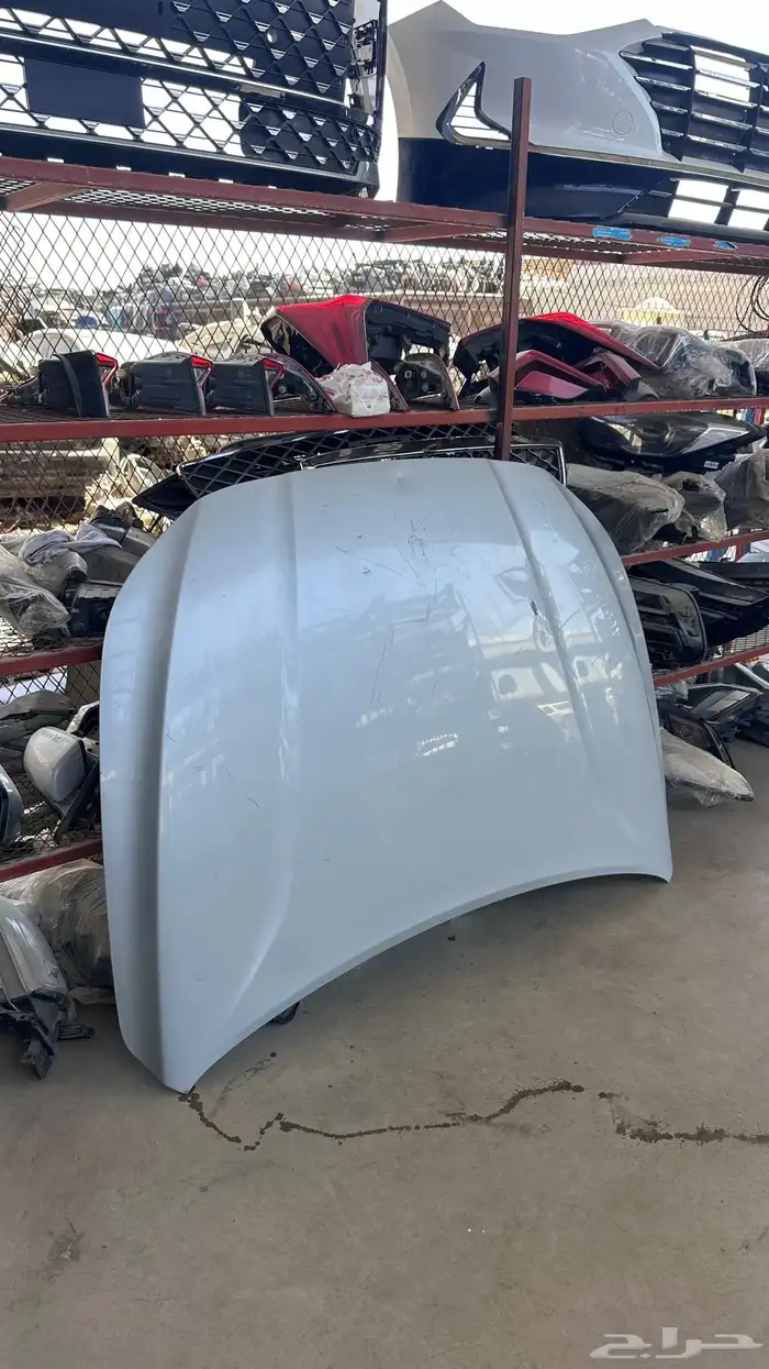 كبوت ازيرا 2018 0