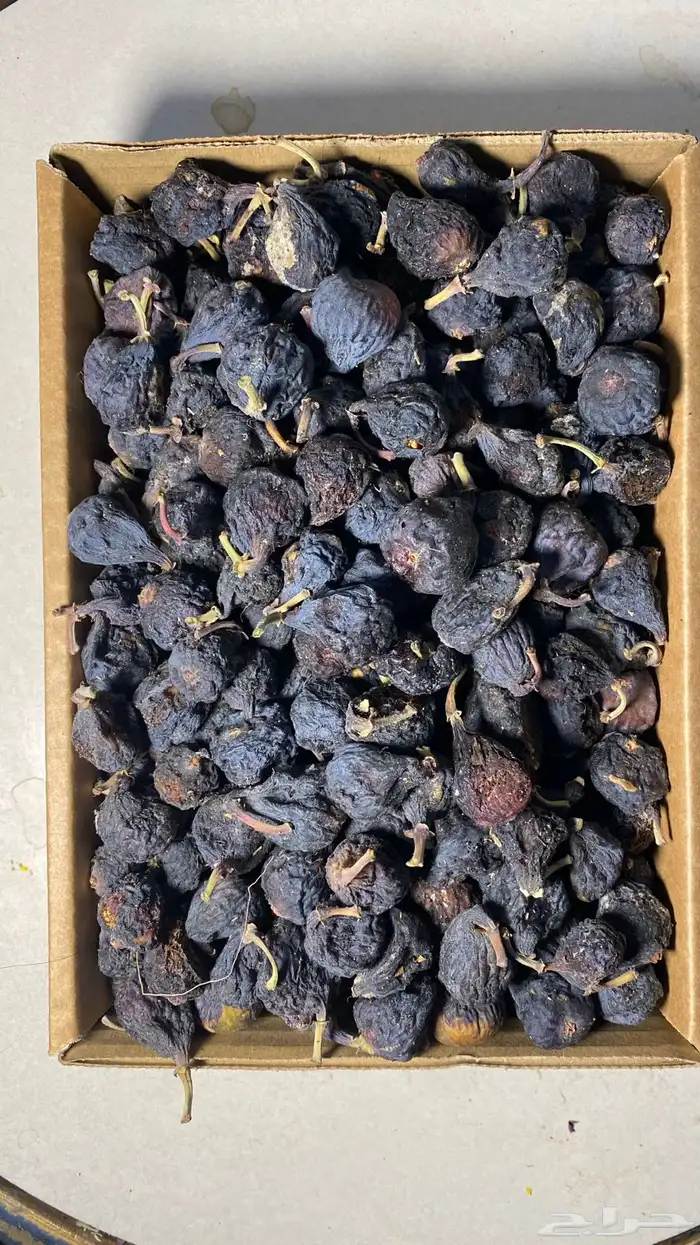 لوز بلدي وزبيب حماط ميسان 2