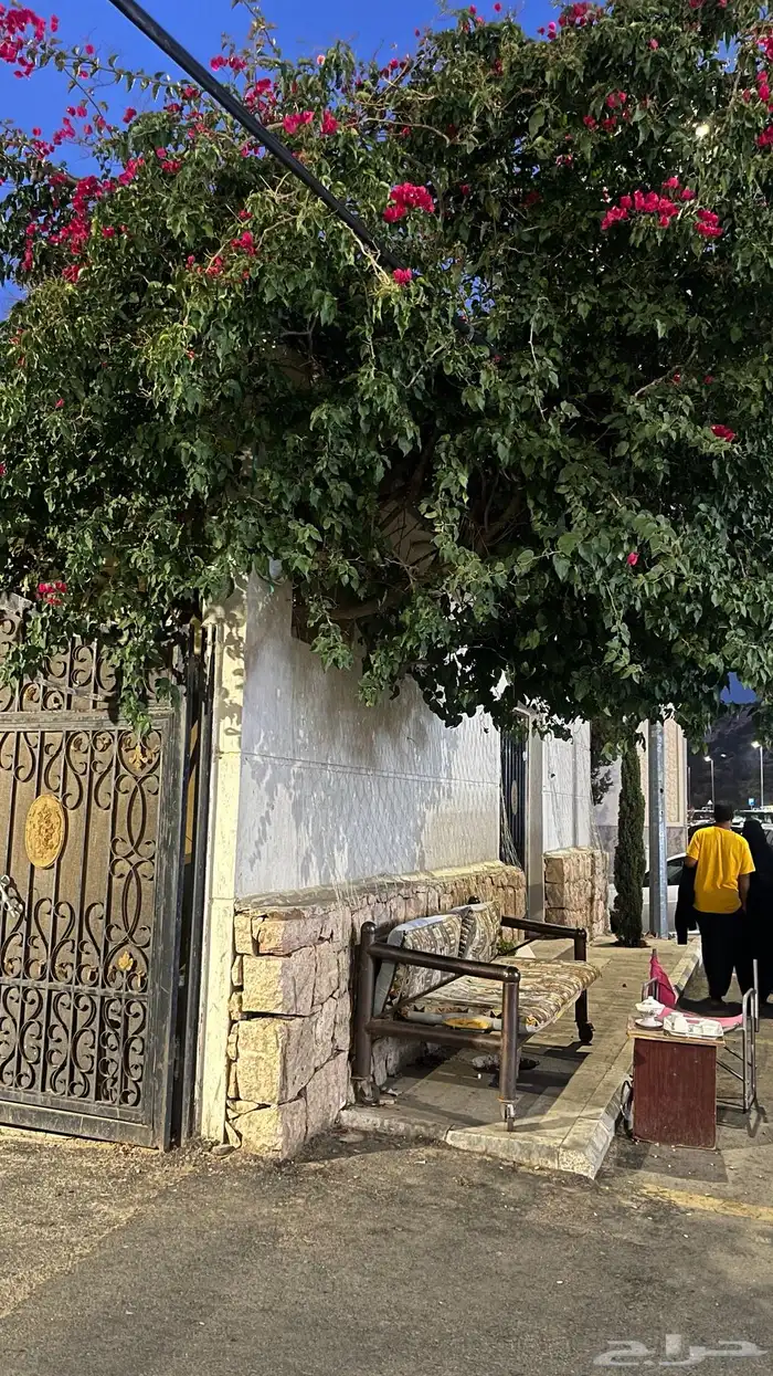 مصور سيارات محلات وغيره من اشياء 8