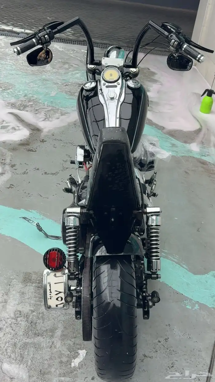 وايد قلايد 2011 3