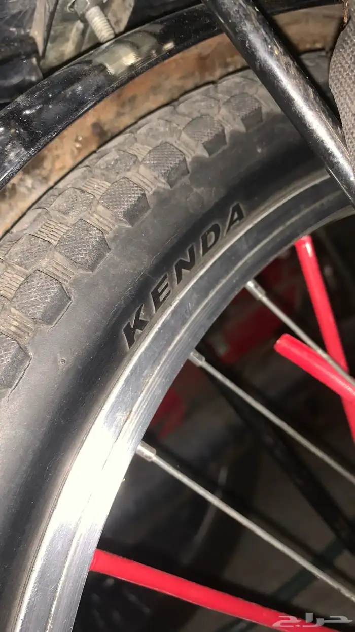 رامبو 20اندنوسي 11