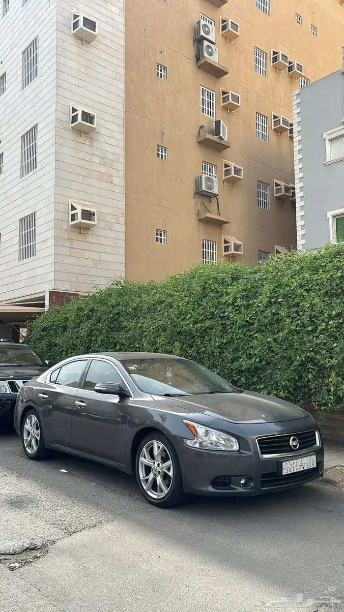 نيسان مكسيما للبيع 8