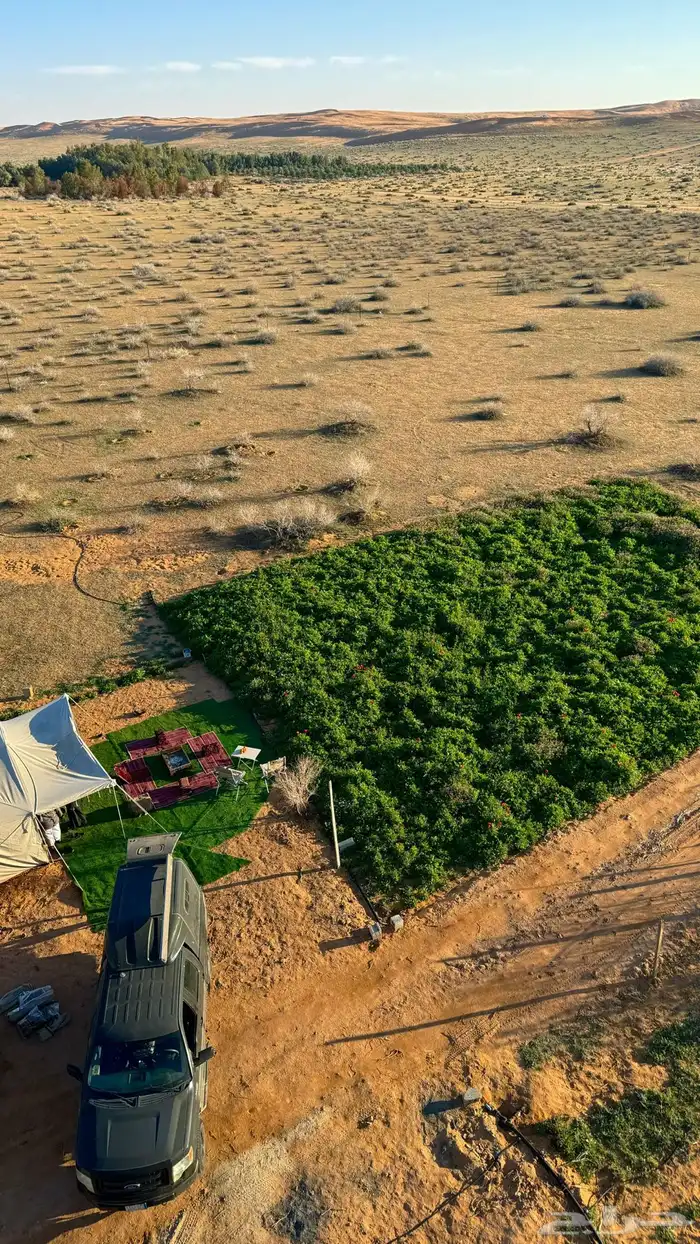 مزرعة و مخيم للإيجار اليومي و الاسبوعي 6