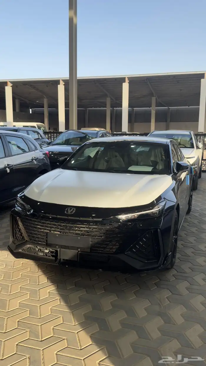 يوني في سبورت 7