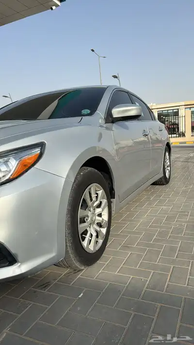 التيماء 2017 استاندر نظيفف index