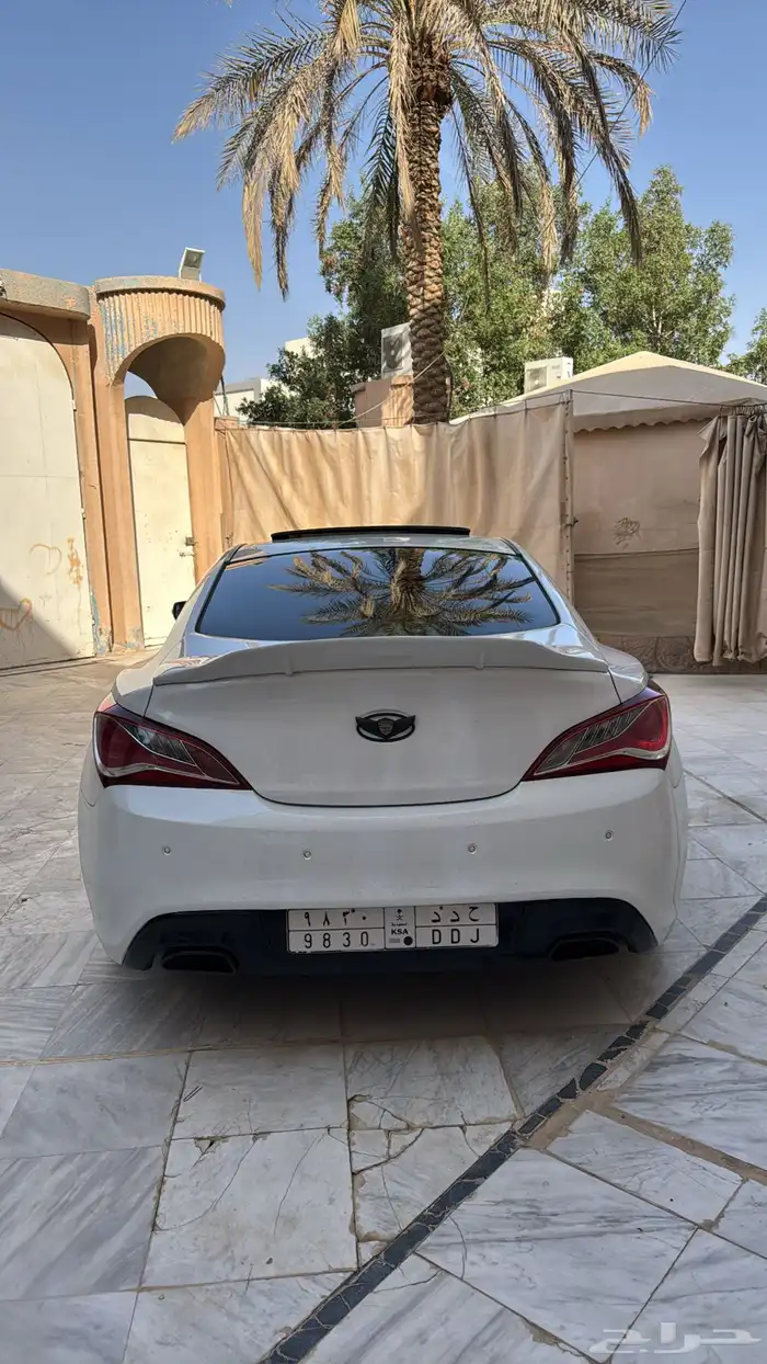 جينسس كوبيه 6