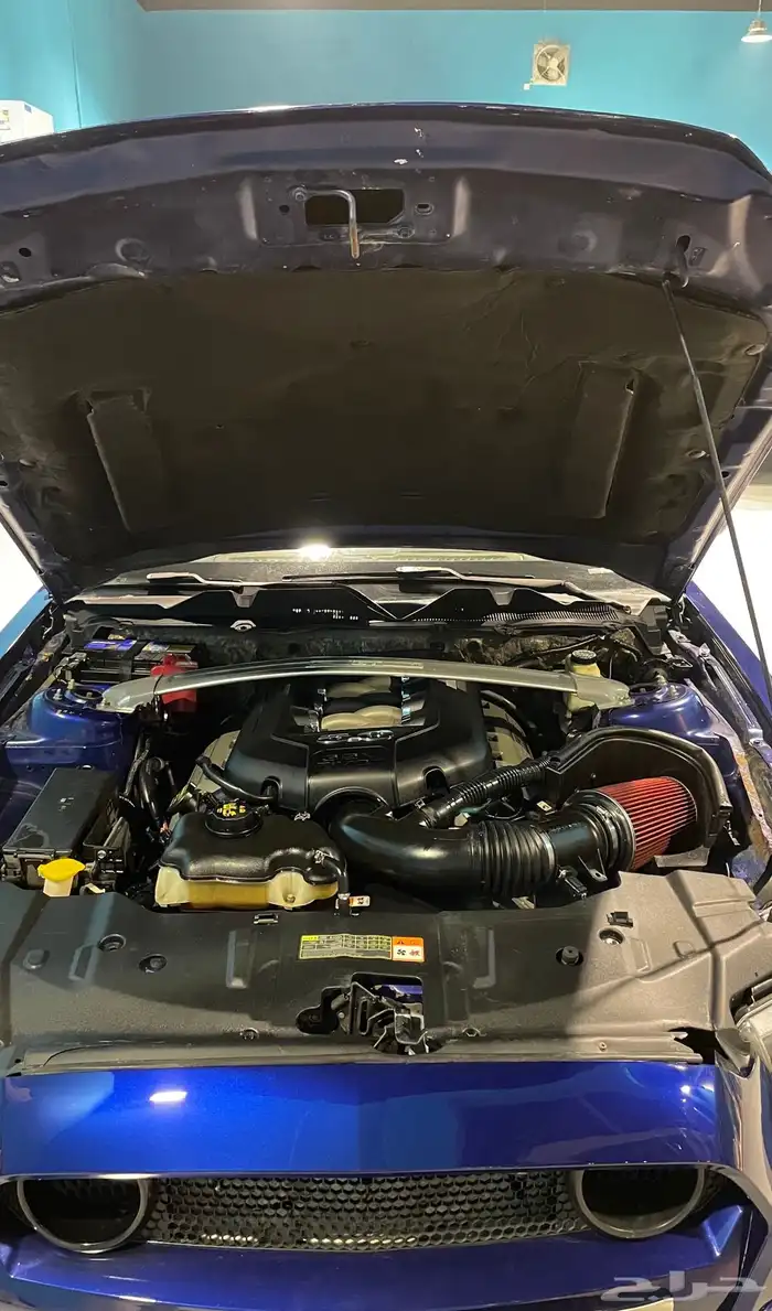 موستنق 2013 للبيع والبدل المقبول 4