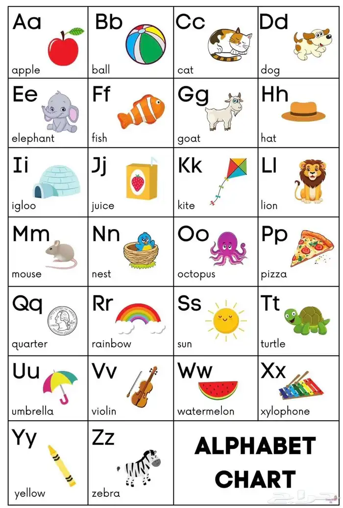 معلمة خصوصية تبوك حي الريان 0