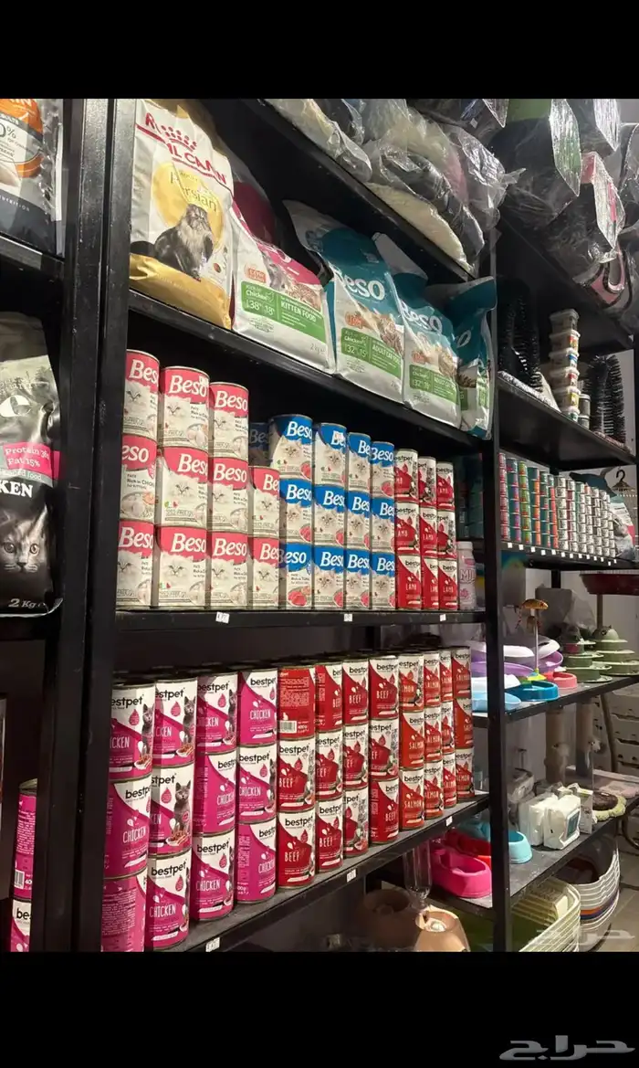 مستلزمات قطط و طيور اسعار طيبه جدا 6