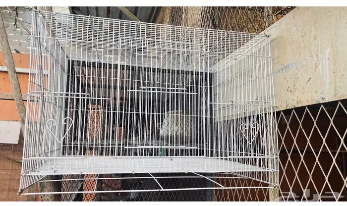 قفص طيور ب50ريال للبيع في بيشة 2