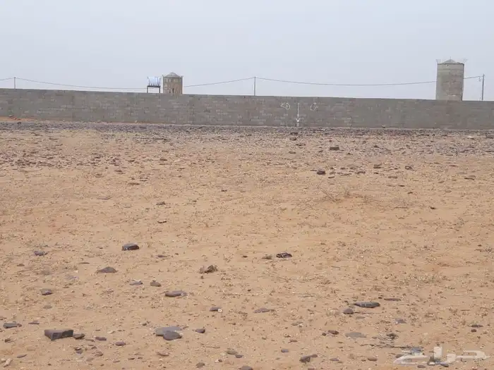 للبيع ارض زراعية بحقروصين 1