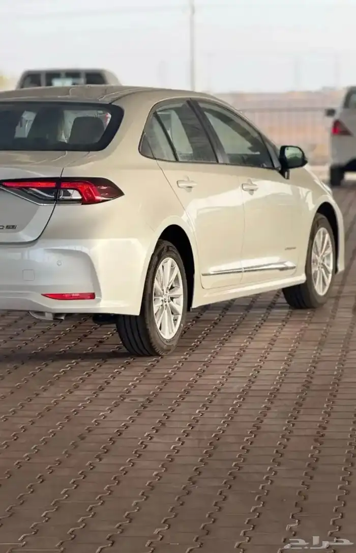 كورلا المطور جنوط 2025 2