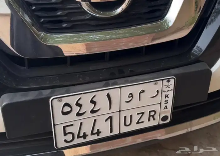 لوحة رمو مميزة 0