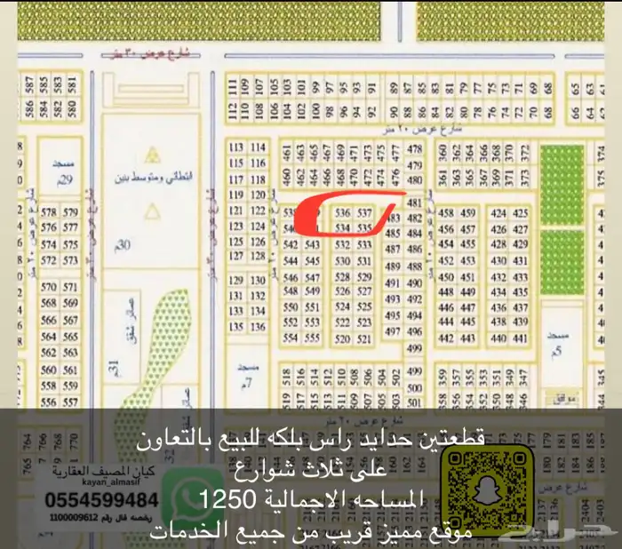 اراضي النخيل التعاون غرناطه وغيرها 1