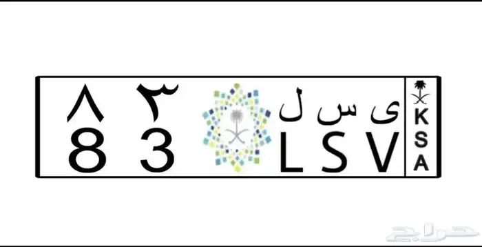 لوحة 38 0