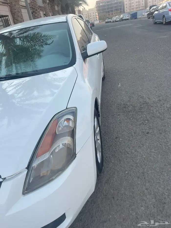 التيما الحد 13 3