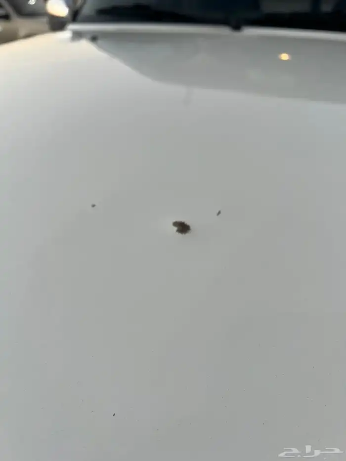 نيسان فتك ( اذا عجبك شي ذكر الله زين ) 11