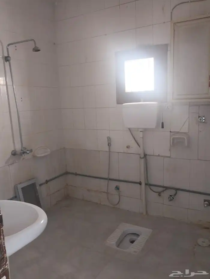 شقه لليجار 11