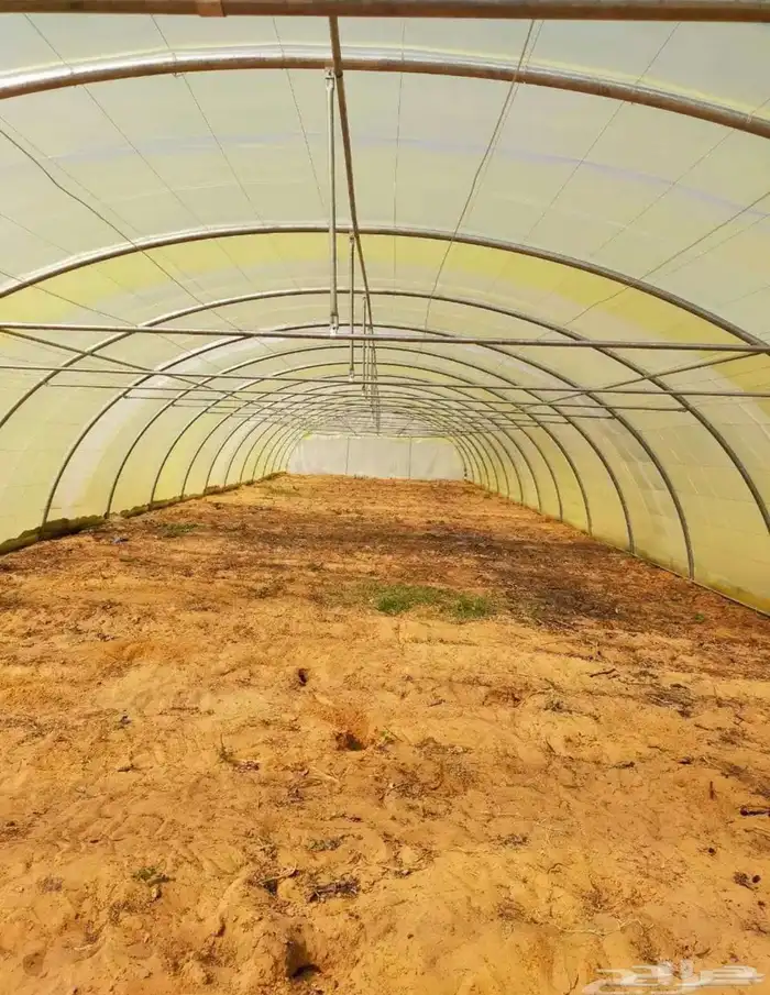 بيوت محمية للبيع ( الروضة ) 0