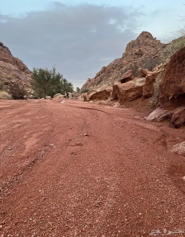 متجر بطحاء طابة حايل الحمراء 0