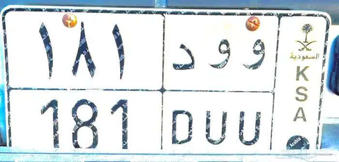 لوحة خصوصي و و د 181 0