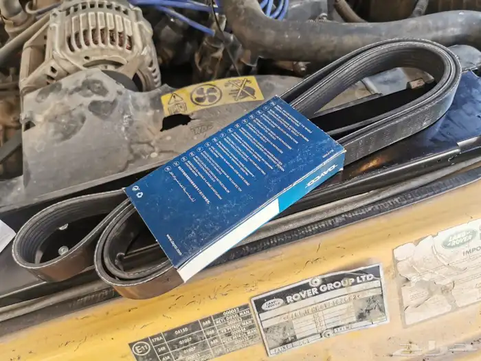 ديسكفري trophy camel 29