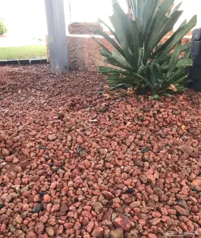 متجر بطحاء طابه الحمراء للحدايق والممرات والمخيمات 0