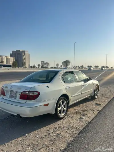 مكسيما 2008 index