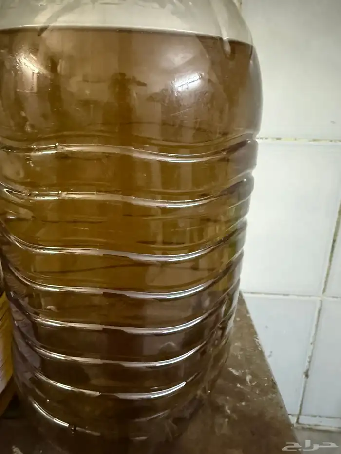 زيت زيتون بكر عل شرط عل كفالا زيت ادلبي 6