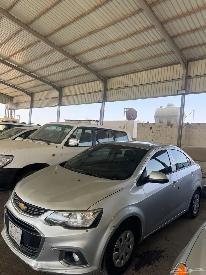 افيو شفر 2017 0