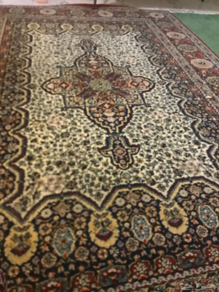 زولية بلجيكية 3