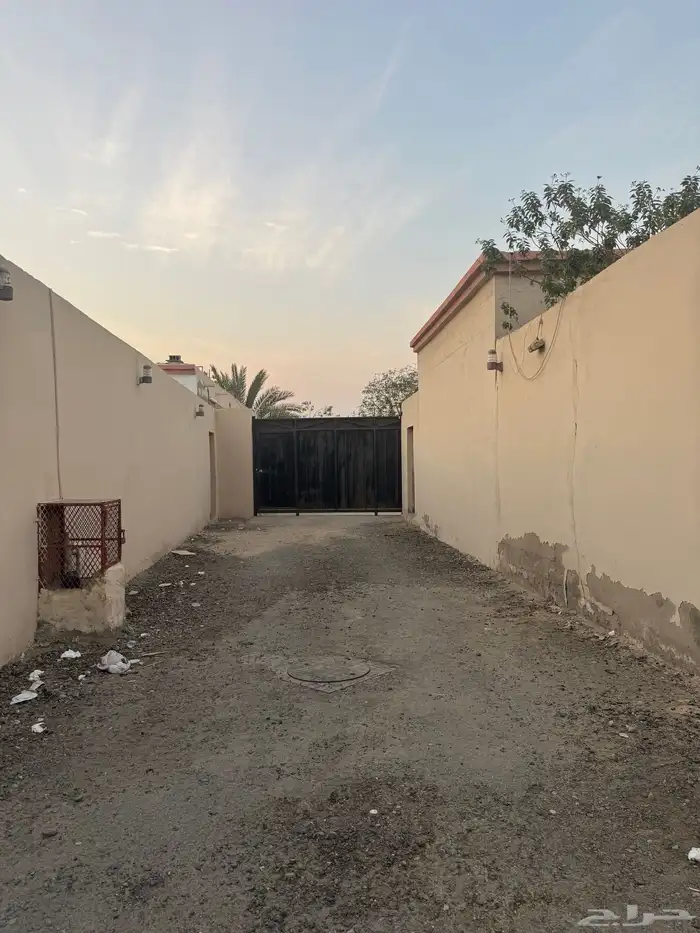 ارض للايجار الالفيه الشهبي 0