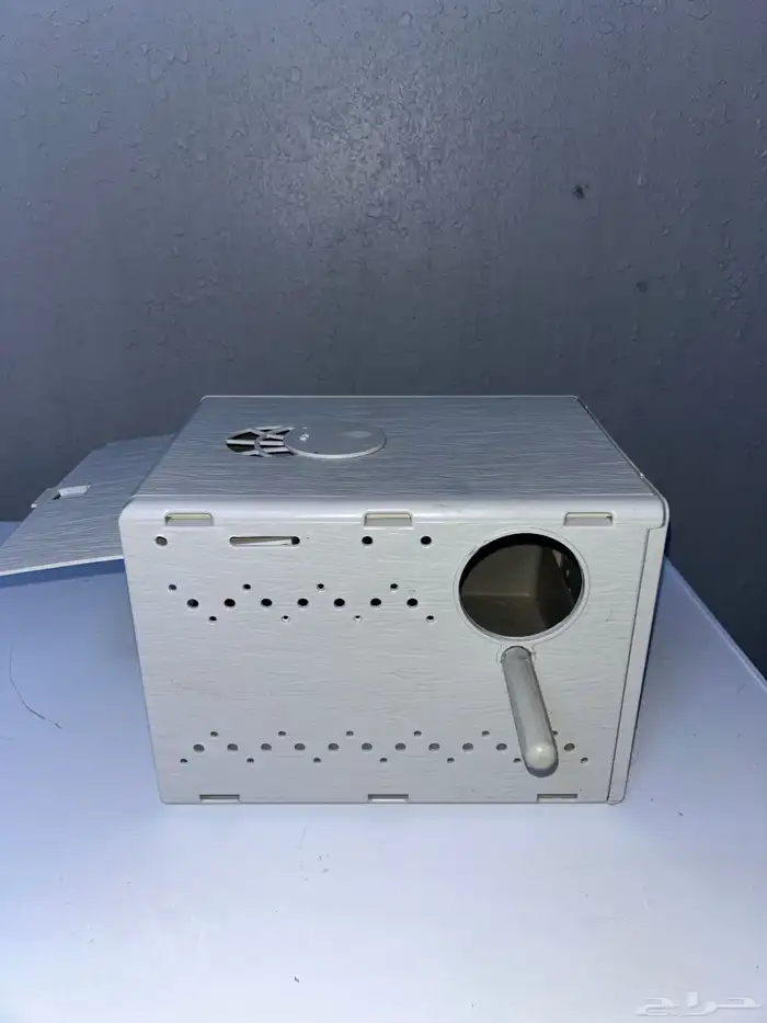 بياضات طيور 4