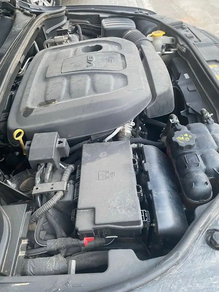 دورانجو للبيع 7