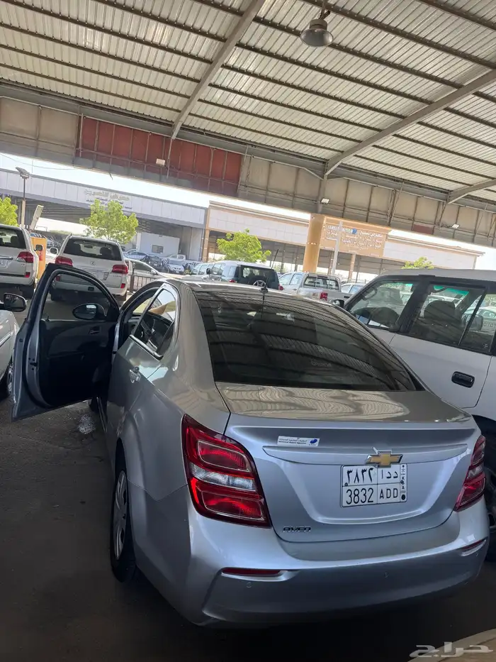 افيو شفر 2017 1