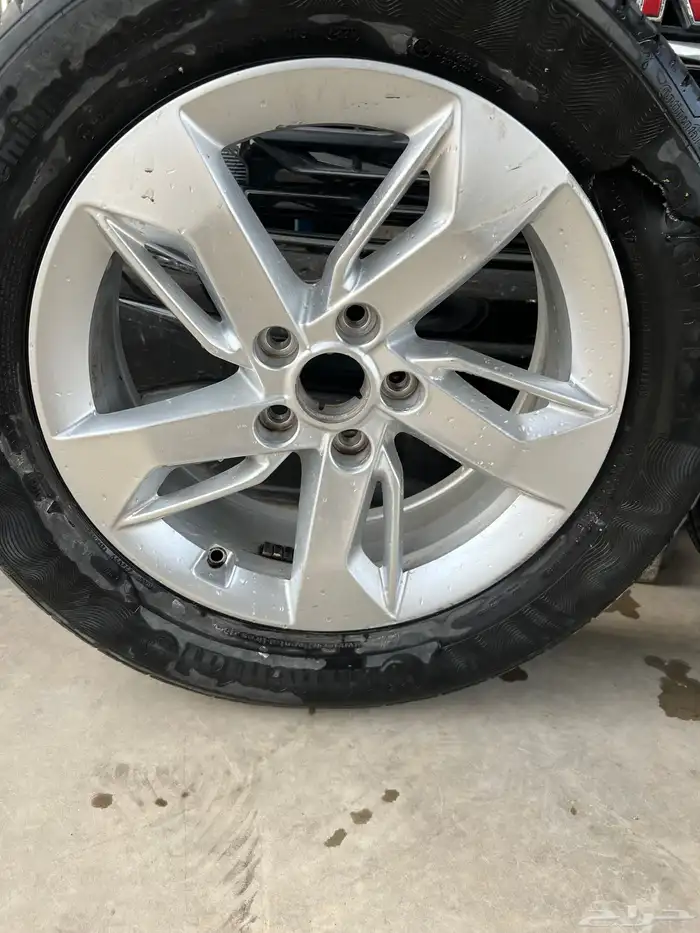 جنوط كابتيفا 2020-2025 7