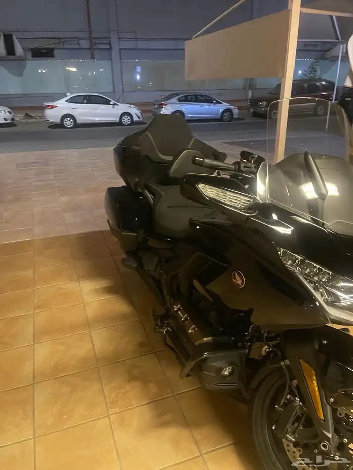 قولد وينج 2023 فل عبدالله هاشم 4