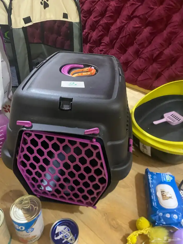 اغراض قطوه نظيفه كل شي عندي اكل قطوه جديده كلها 4