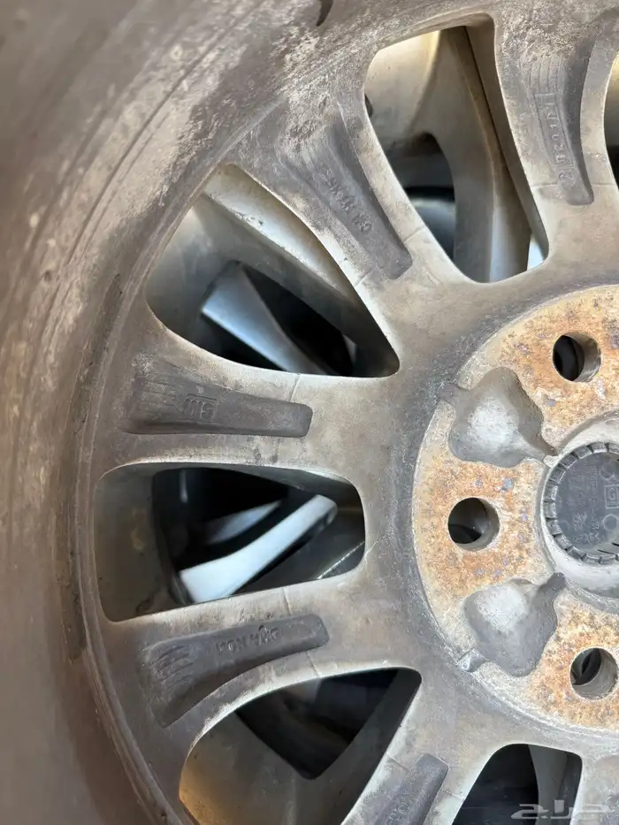 جنوط كابرس 1