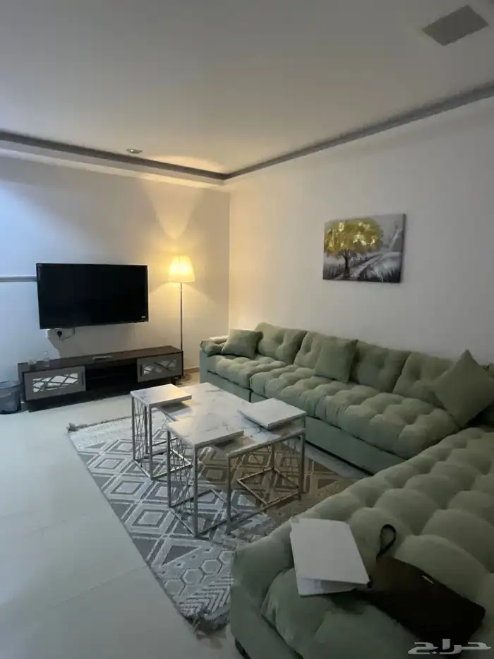 شقق للايجار الشهري مؤثثه بالمونسيه 13