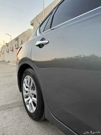 التيما 2017 index