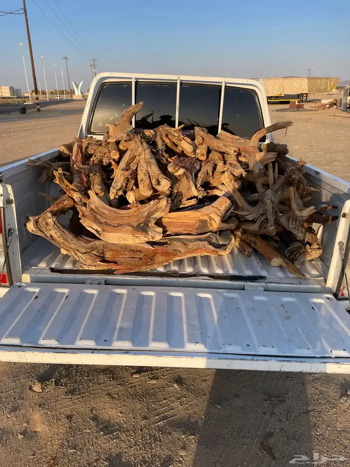 حطب مستورد 2