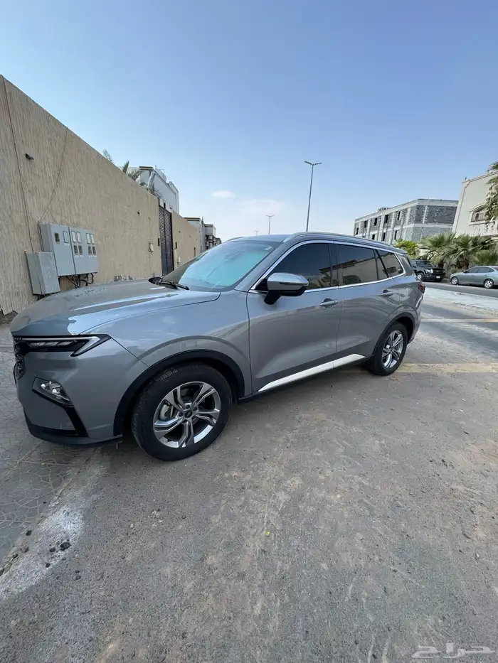 تيرتوري 2024 للتنازل 3